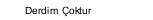 Derdim Çoktur